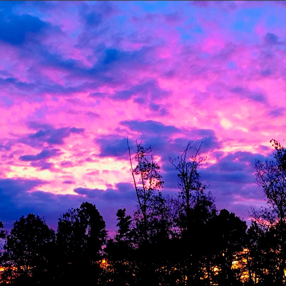 Meet your Posher, Whitney - Picture 7 of 13